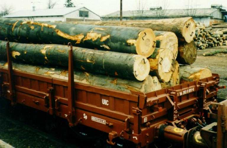 Waggon 2a Slowakei 96 50%.jpg (42826 Byte)