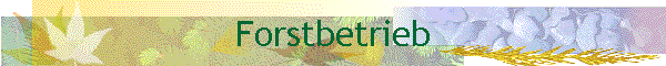 Forstbetrieb