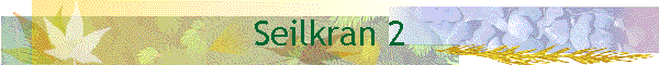 Seilkran 2